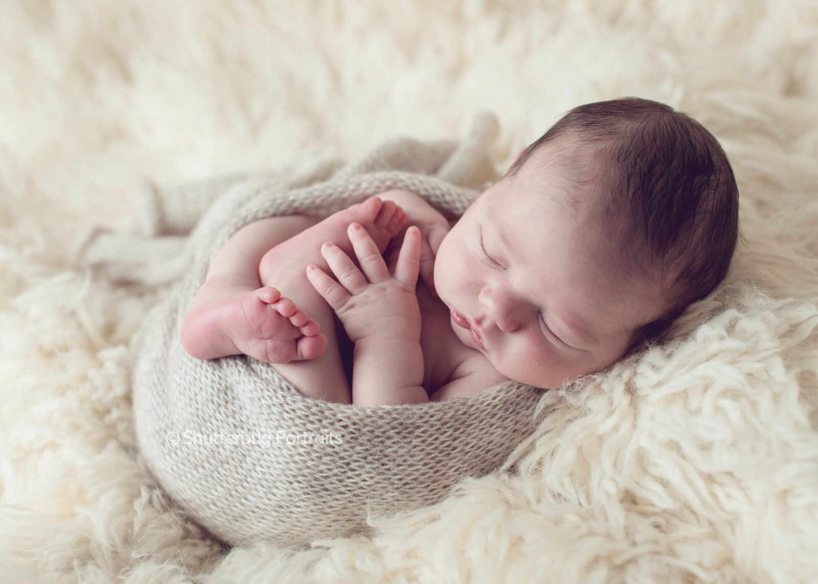 Newborn Photography Shutterbug Portraits